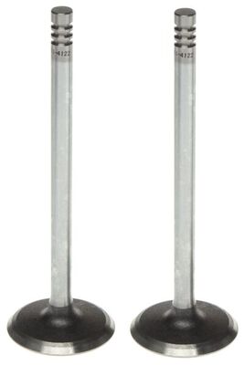 Intake Valve