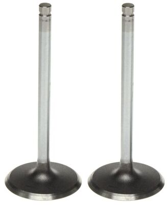 Intake Valve