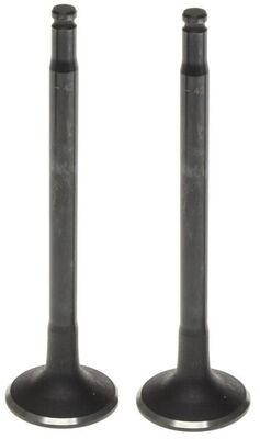 Intake Valve