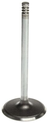 Intake Valve