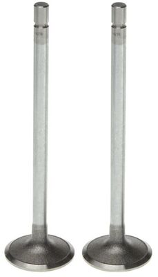 Intake Valve