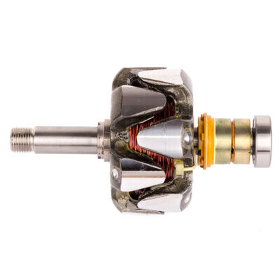 Rotor, alternator