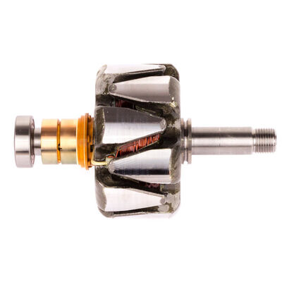 Rotor, alternator
