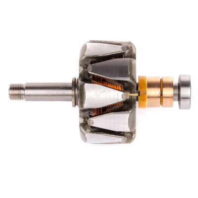 Rotor, alternator
