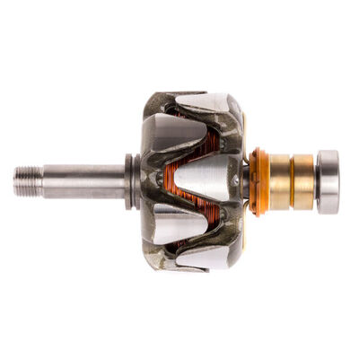 Rotor, alternator