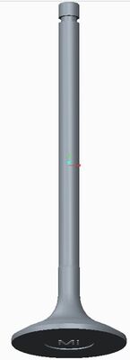 Intake Valve