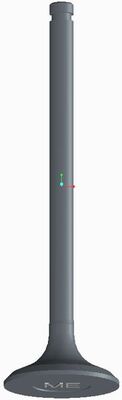 Exhaust Valve