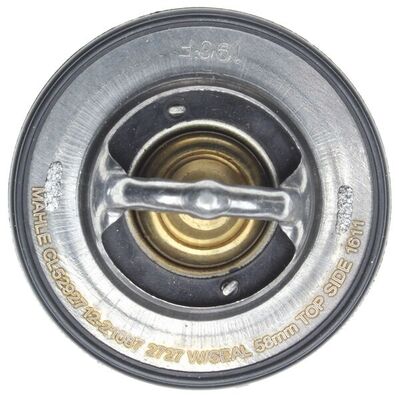 Thermostat, coolant 4