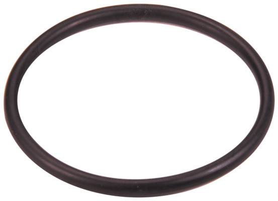 Seal, thermostat