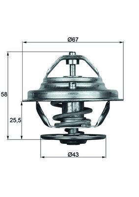 MAHLE TX 19 75D Thermostat,...