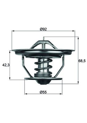 MAHLE TX 35 71 Termostat,...