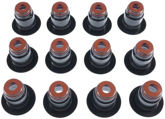 Seal Set, valve stem