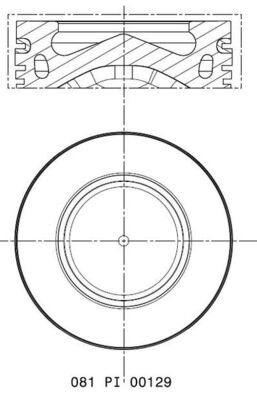 MAHLE 081 PI 00129 000 бутало