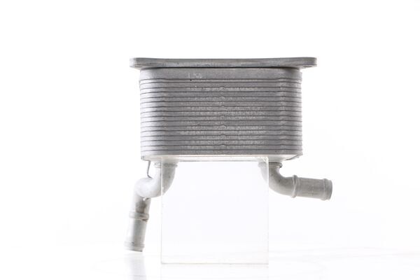 Oil Cooler, engine oil 11