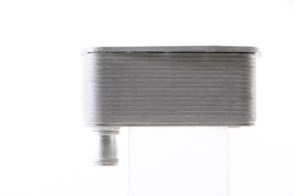 Oil Cooler, engine oil 3