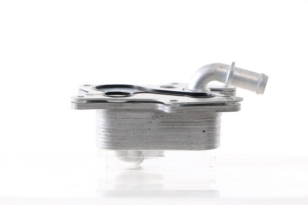 Oil Cooler, engine oil 3