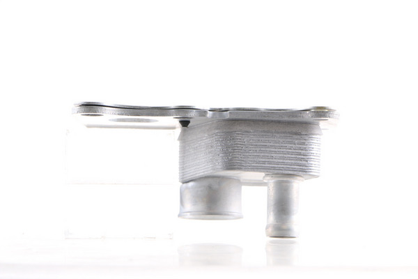 Oil Cooler, engine oil 11