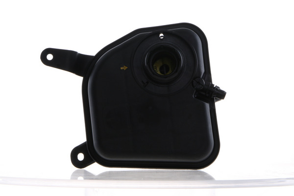 Expansion Tank, coolant 4