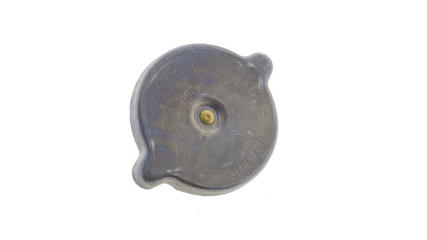 Cap, radiator 9