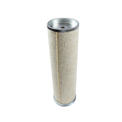 Secondary Air Filter 5