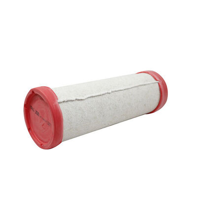 Secondary Air Filter 4
