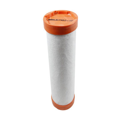 Secondary Air Filter 2