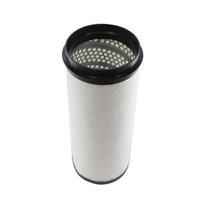 Secondary Air Filter 2
