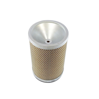 Secondary Air Filter 3