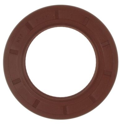 Gasket, timing case cover