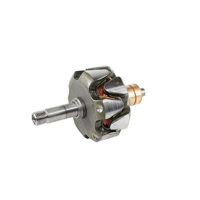 Rotor, alternator