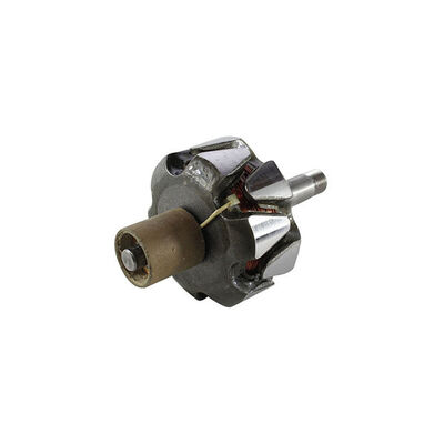 Rotor, alternator