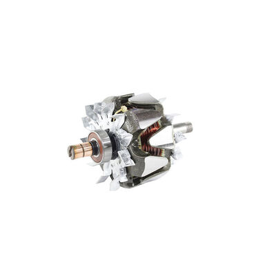 Rotor, alternator 2