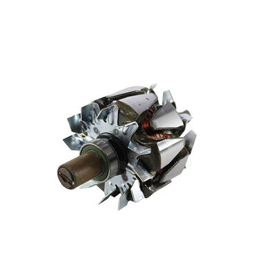 Rotor, alternator 2