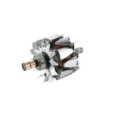 Rotor, alternator 2