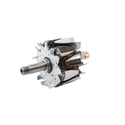 Rotor, alternator