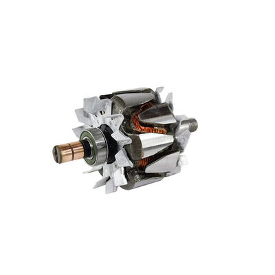 Rotor, alternator 2