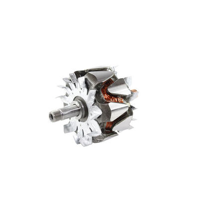 Rotor, alternator