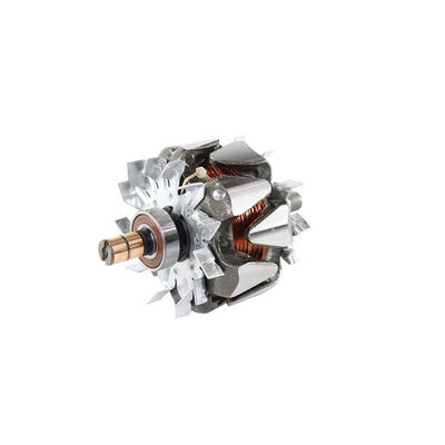 Rotor, alternator 2