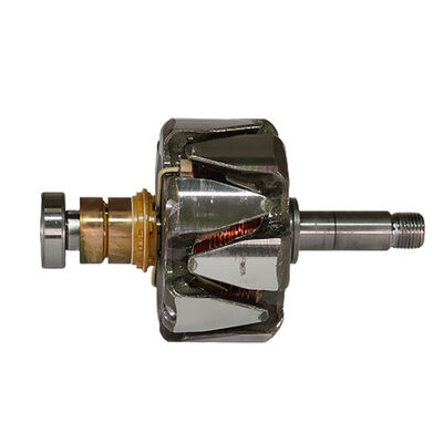 Rotor, alternator 2