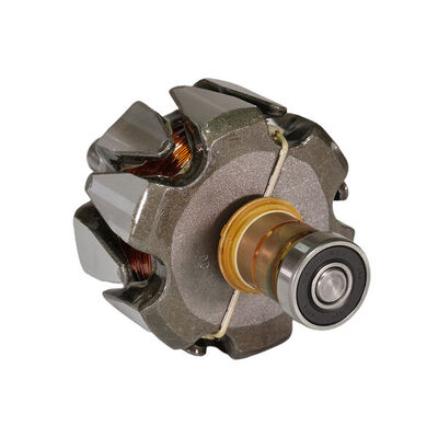 Rotor, alternator 3