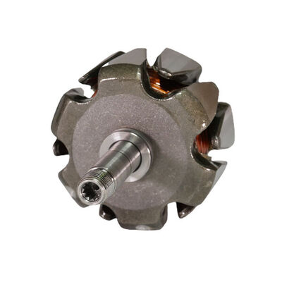 Rotor, alternator 4