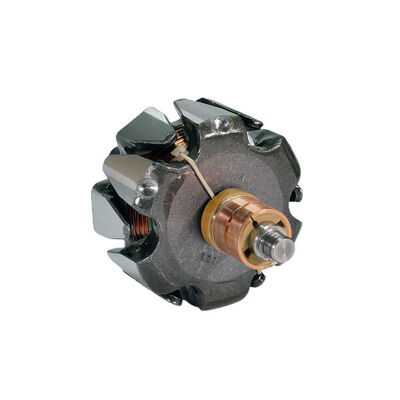 Rotor, alternator 4