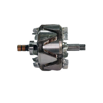 Rotor, alternator