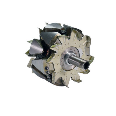 Rotor, alternator 2