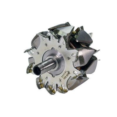 Rotor, alternator 2