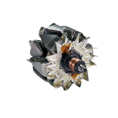 Rotor, alternator 3