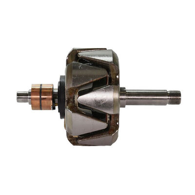 Rotor, alternator