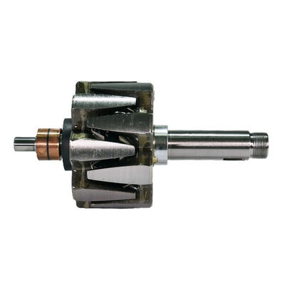Rotor, alternator