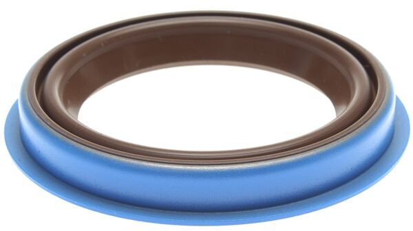 Gasket, timing case cover