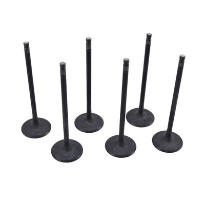 Intake Valve